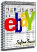 Ebay Fare soldi